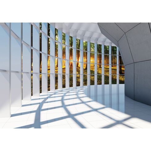 3D Tunel Okno Krajobraz Lasu