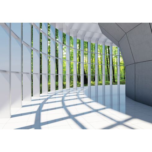 3D Tunel Okno Krajobraz Lasu