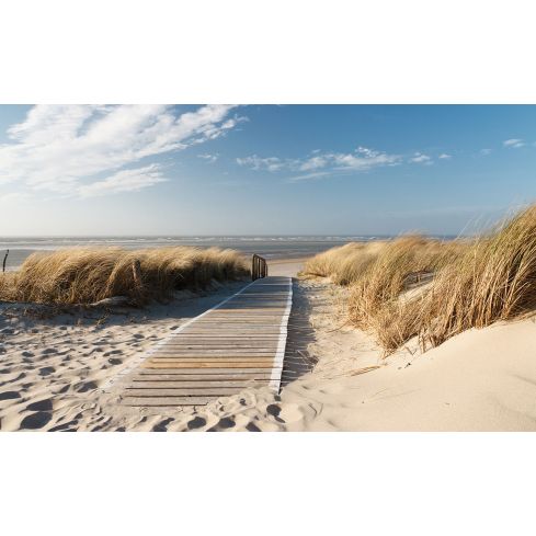 Krajobraz Plaża Morze Kładka Natura
