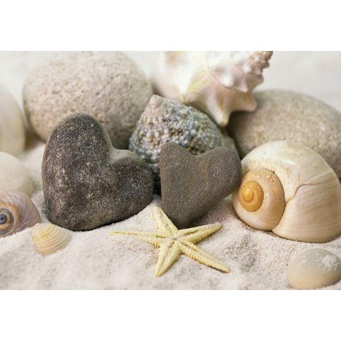 Natura Plaża Muszle Kamienie SPA