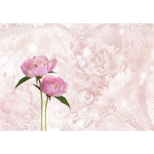 Natura Kwiaty Różowe Piwonie Ornamenty
