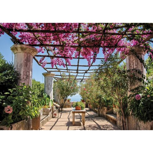 Natura Ogród Kolumny Kwiaty Pergola