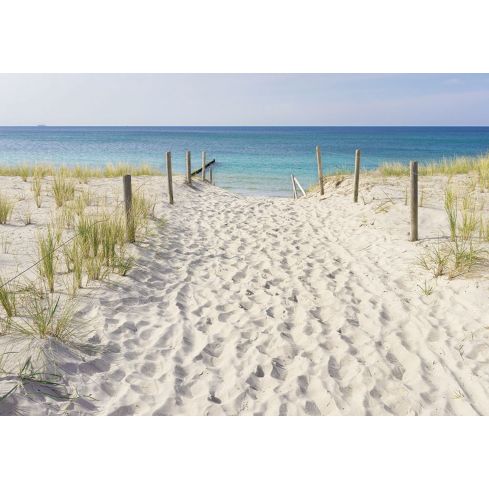 Krajobraz Plaża Niebo Piasek Morze