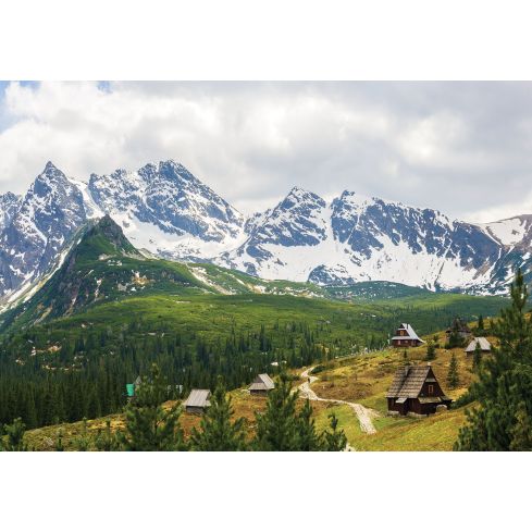 Natura Góry Hala Gąsienicowa Tatry
