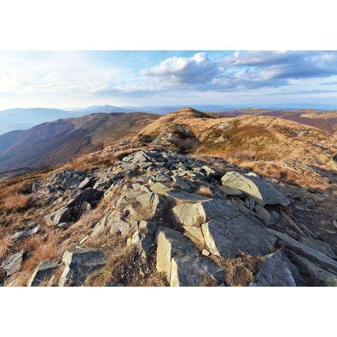 Natura Góry Bieszczady Górski Krajobraz