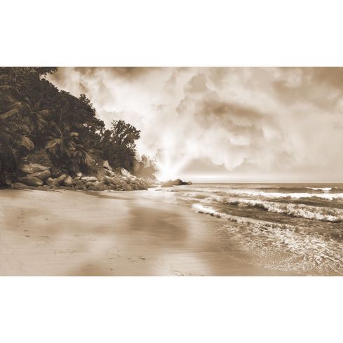 Krajobraz Morze Plaża Sepia Widok