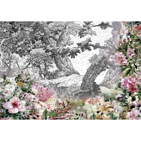 Natura Kwiaty Ogród Vintage Szkic