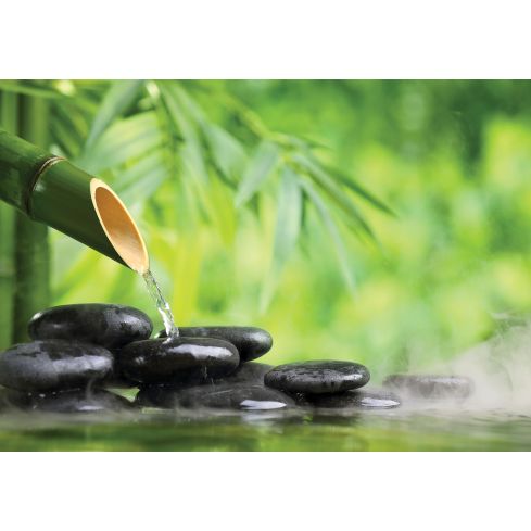 Natura Rośliny Spa Bambus Kamienie