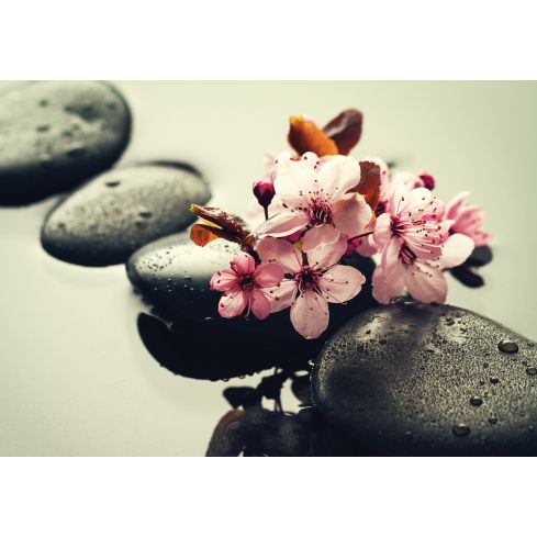 Natura Kwiaty Spa Kamienie Relaks