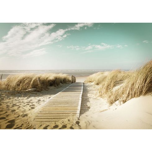 Krajobraz Plaża Morze Widok Natury