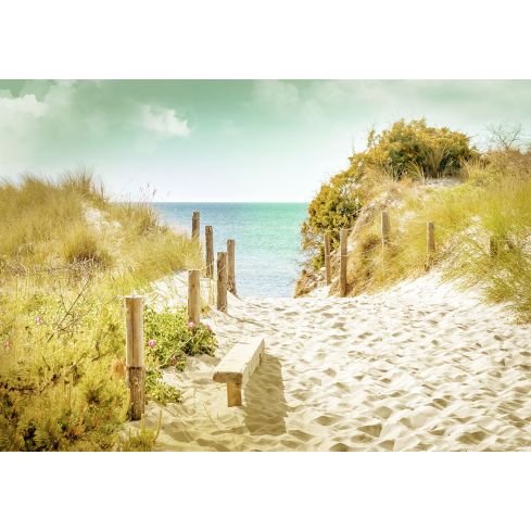 Krajobraz Plaża Morze Widok Piasek