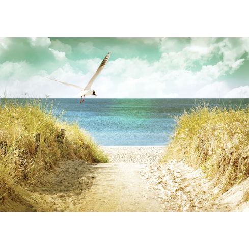 Krajobraz Plaża Morze Widok Niebo