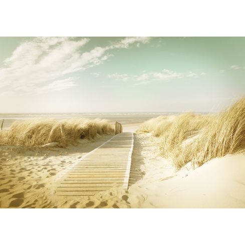 Krajobraz Plaża Morze Widok Kładka