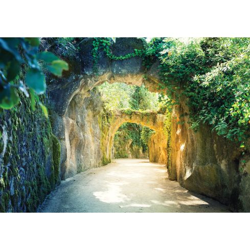 Architektura Alejka Krajobraz Liście Uliczka