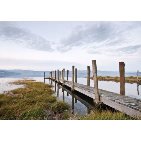 Krajobraz Natury Jezioro Kładka Mostek