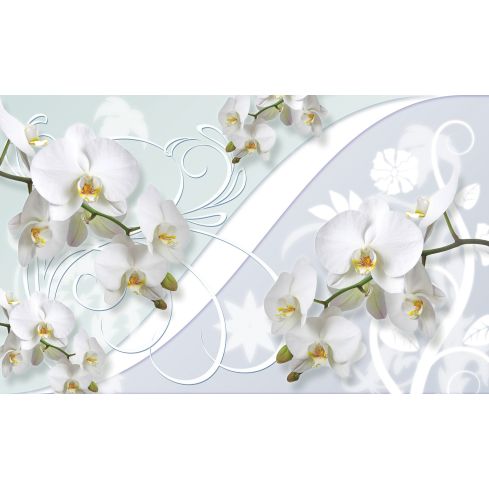 Natura Kwiaty Storczyki Orchidea Ornamenty
