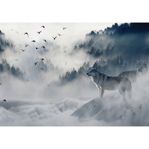 Natura Las Wilk Ptaki Mgła