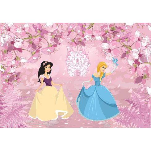 Dla Dzieci Księżniczki Królewny Dziewczęca Bajka