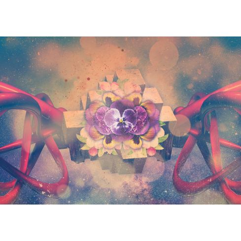 Abstrakcja 3D Kwiaty Geometria Wstęgi