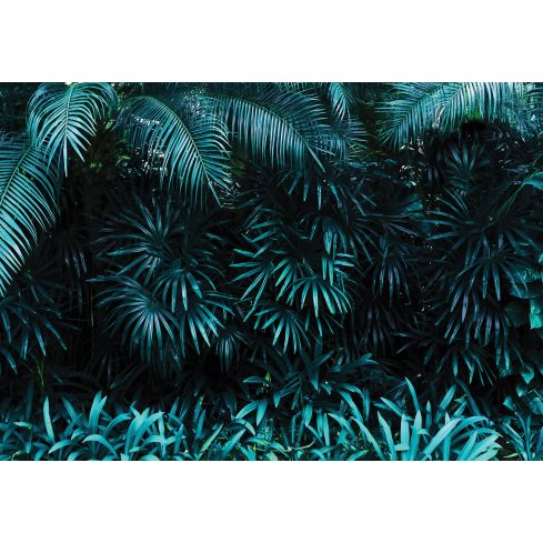 Natura Liście Egzotyczna Botaniczna Zieleń