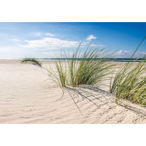 Widok Plaża Wydmy Piastek Trawa