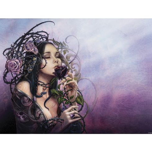 13262 - Alchemy Kobieta - The Midnight Rose