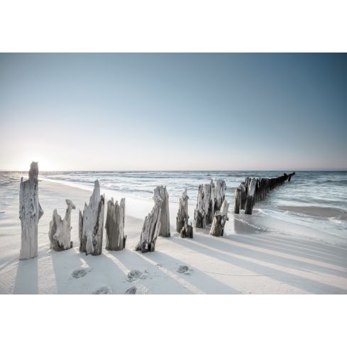 Natura Plaża Falochron Wydmy Piasek