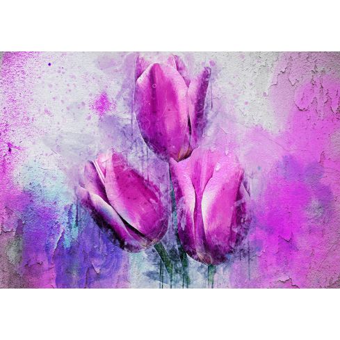 13482 - Tulipany