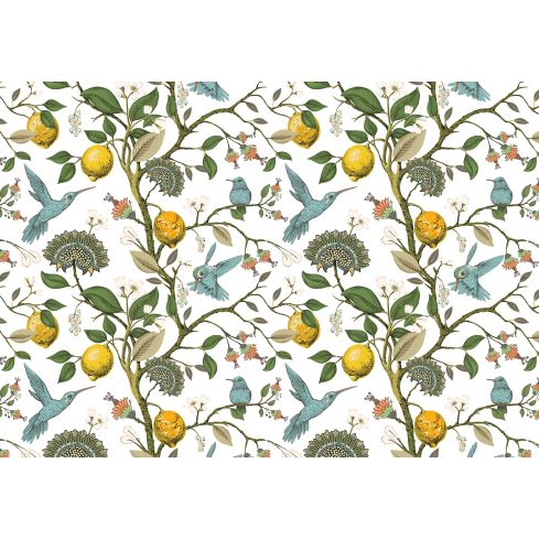 14190 - Natura Rośliny Cytryny Ptaki Liście