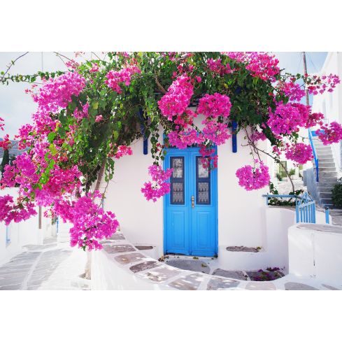 14199 - Grecja Grecka Uliczka Różowe Kwiaty