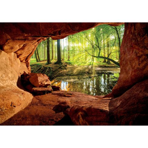 14219 - 3D Dziura Jaskinia Widok na Las
