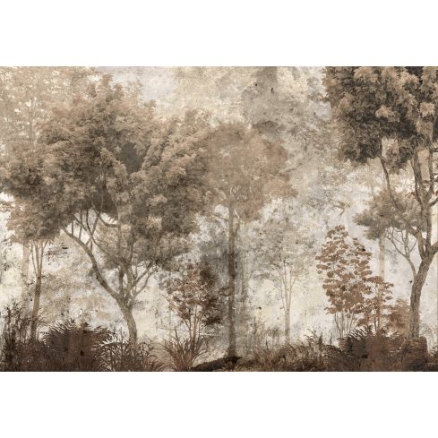 14267 - PIGNA- taeda