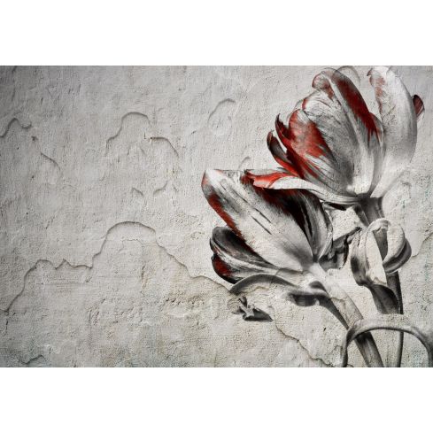 DES FLORES- clusiana