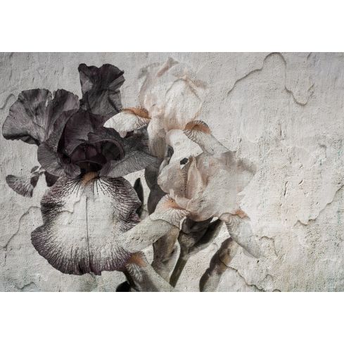 DES FLORES- fleur de lys