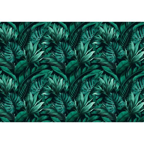 14528 - Natura liście tropikalne monstery