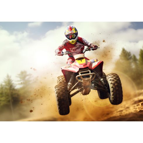 14711 - Fototapety vlies klasyczne VEXXXXL (416 x 290 cm)