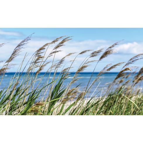 Krajobraz Plaża Niebo Chmury Morze