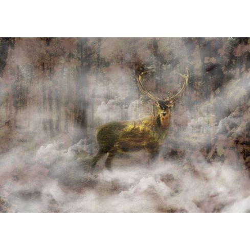 Natura Las Jeleń Mgła Jesień