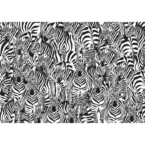 11042 - Zebra