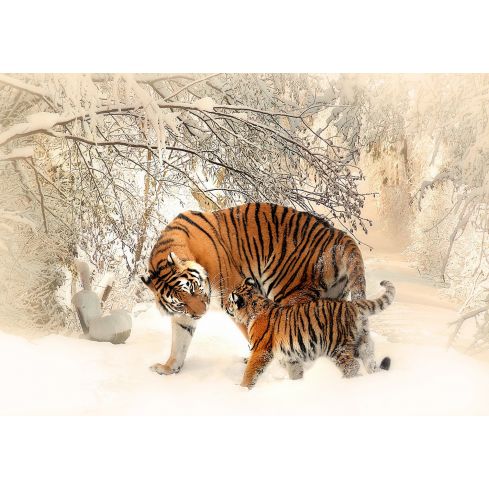 13004 - Tygrysy na śniegu
