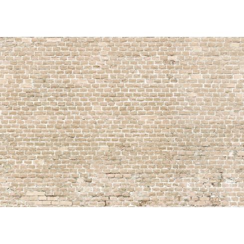 13994 - Struktura Cegły Piaskowiec Jasny Mur 