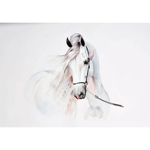 14086 - Zwierzęta Konie Biały Rumak Sztuka
