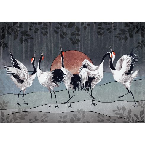 14154 - Zwierzęta Ptaki Tańczące Żurawie Sztuka