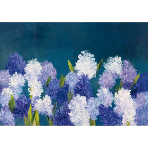 FIORI- hyacinth