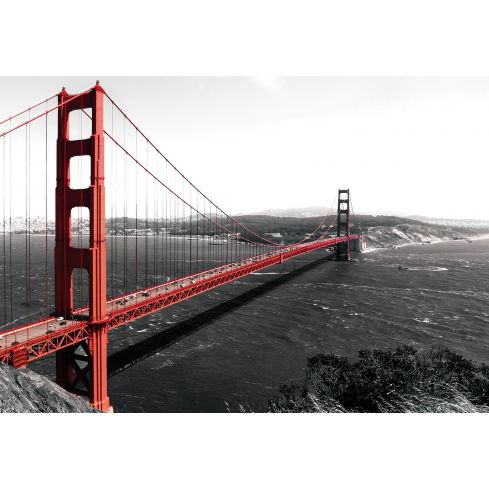 Architektura Most Golden Gate USA