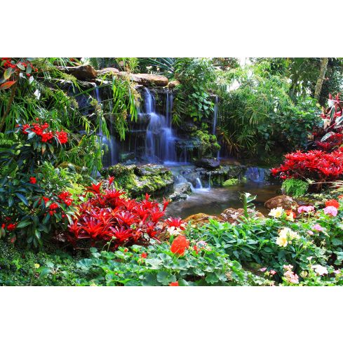 Krajobraz Wodospad Natura Tropiki Kwiaty