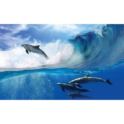 Zwierzęta Delfiny Ocean Fale Niebo